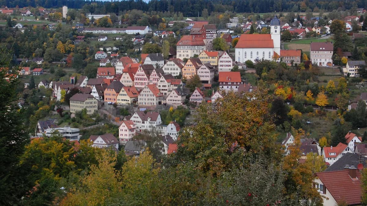 Stadtansicht von Altensteig